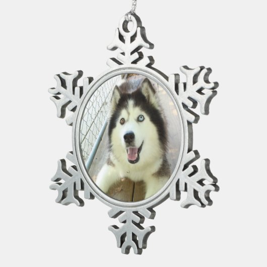 Mooie Siberian Husky Ornament (Rechts)