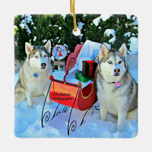 Mooie Siberische Huskies Keramisch Ornament (Voorkant)