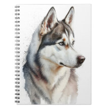 MOOIE SIBERISCHE HUSKY HOND