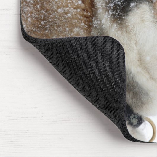 Mooie Siberische Husky in de sneeuw Muismat (Hoek)