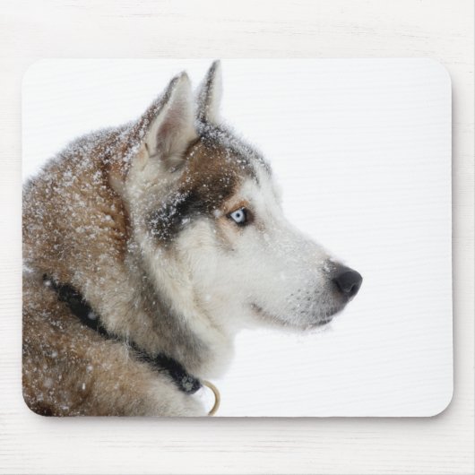 Mooie Siberische Husky in de sneeuw Muismat (Voorkant)