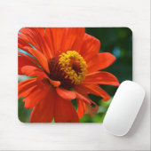 Mooie sierlijke oranje bloemenbloem muismat (Met muis)