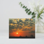 Mooie Silhouette Sunset Briefkaart (Staand voorkant)