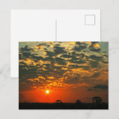 Mooie Silhouette Sunset Briefkaart (Voorkant / Achterkant)