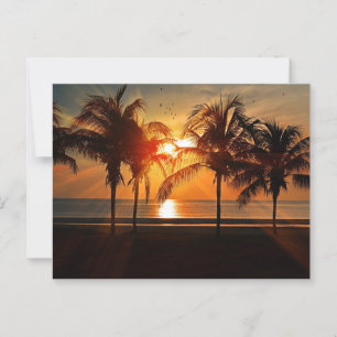 Mooie Silhouette Sunset Briefkaart