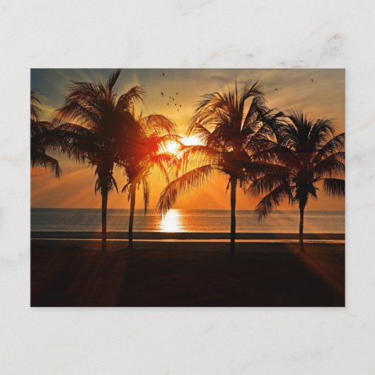 Mooie Silhouette Sunset Briefkaart (Voorkant)