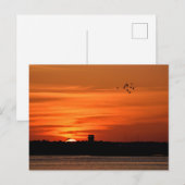 Mooie Silhouette Sunset Briefkaart (Voorkant / Achterkant)