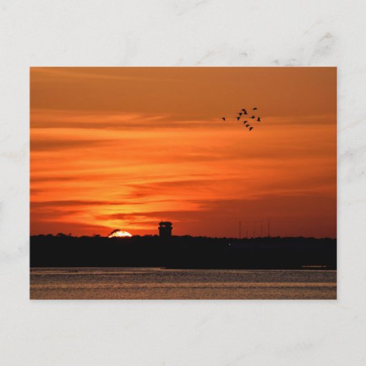 Mooie Silhouette Sunset Briefkaart (Voorkant)