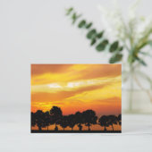 Mooie Silhouette Sunset Briefkaart (Staand voorkant)