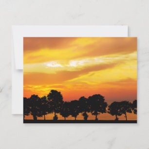 Mooie Silhouette Sunset Briefkaart