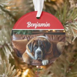 Mooie Sint-Bernardhond Vakantie Kerst Foto Ornament