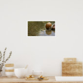 Mooie slak in water poster (Keuken)