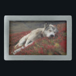 Mooie slapende Wolf Belt gesp<br><div class="desc">Dit is een mooie slapende Wolf Belt Buckle</div>