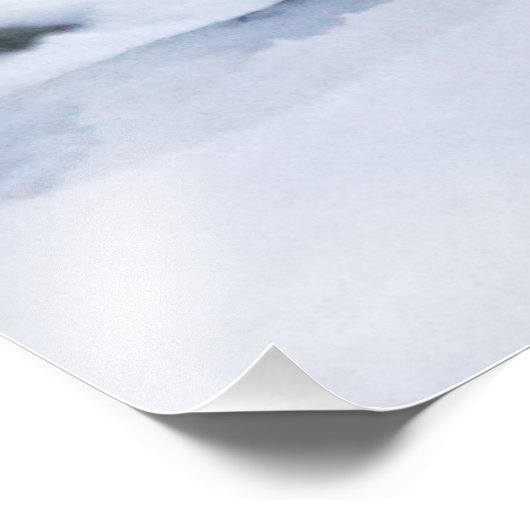 Mooie sneeuwluipaard foto afdruk (Hoek)