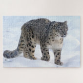 Mooie sneeuwluipaard legpuzzel (Horizontaal)