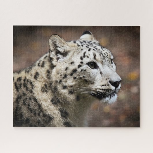 Mooie sneeuwluipaard, puzzel (Horizontaal)