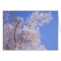 Mooie sneeuwscène foto