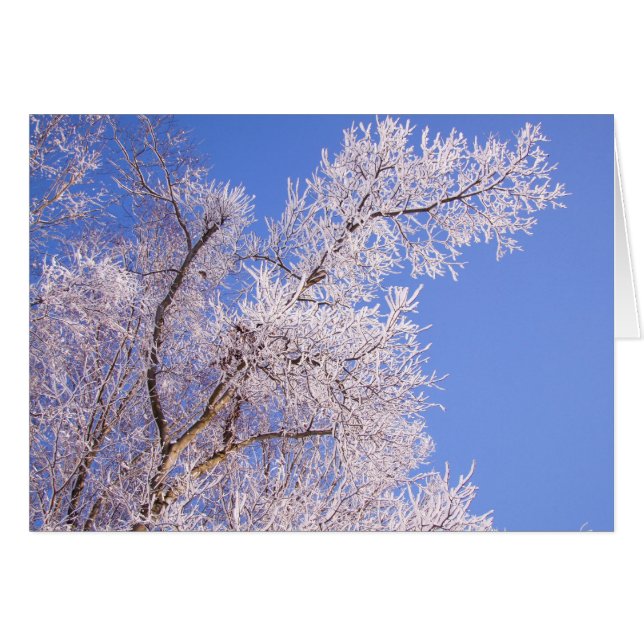 Mooie sneeuwscène foto (Voorkant Horizontaal)