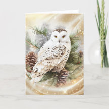 Mooie Sneeuwuil Kerstmis