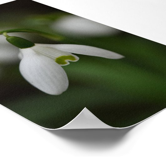 Mooie sneeuwval dicht poster (Hoek)