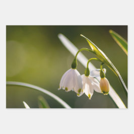 Mooie sneeuwvlokken voor de lente en sneeuwval inpakpapier vel