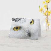 Mooie Snowy Owl Eyes Happy Birthday Kaart (Gele Bloem)