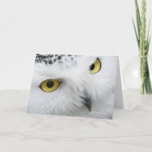 Mooie Snowy Owl Eyes Happy Birthday Kaart