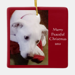 Mooie Snowy White Puppy Dog Peace Kerstmis Keramisch Ornament