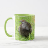 Mooie Sooty Grouse Gamebird in de gras Mok (Links)