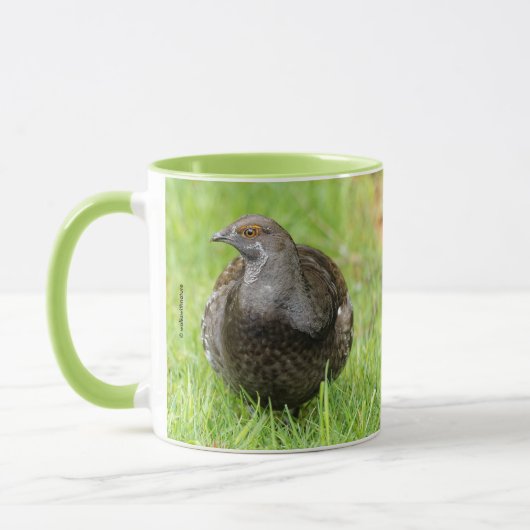 Mooie Sooty Grouse Gamebird in de gras Mok (Links)
