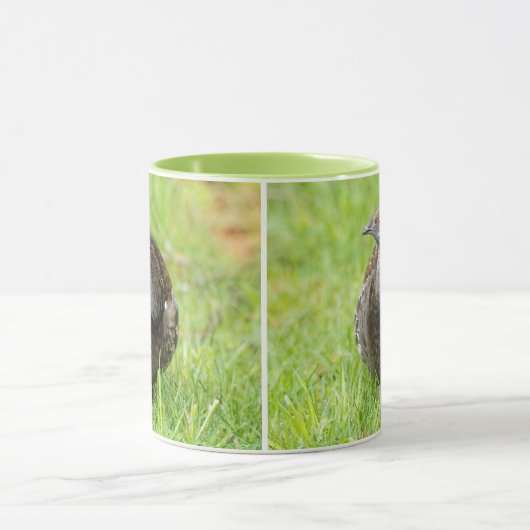 Mooie Sooty Grouse Gamebird in de gras Mok (Midden)