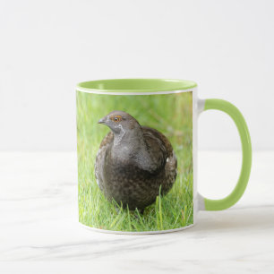 Mooie Sooty Grouse Gamebird in de gras Mok