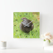 Mooie Sooty Grouse Gamebird in de gras Vierkante Klok (Huis)