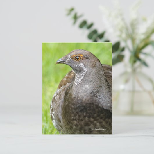 Mooie Sooty Grouse Gamebird in Grass Briefkaart (Staand voorkant)