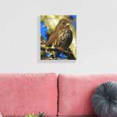 Mooie soty Fox Sparrow in een perenboom Canvas Afdruk (Insitu (Woonkamer))