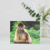 Mooie Spider Monkey Briefkaart (Staand voorkant)