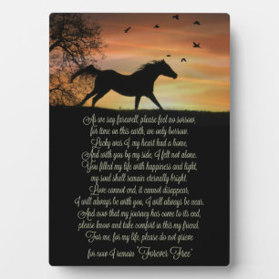 Mooie Spirituele paardenherdenking met gedicht Fotoplaat