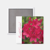 Mooie Staatsbloem Georgia~ Azalea Magneet (Voorkant / Achterkant)
