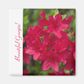 Mooie Staatsbloem Georgia~ Azalea Magneet (Voorkant)