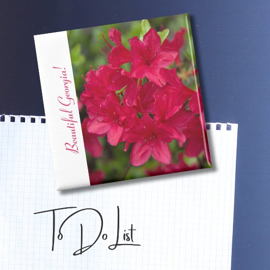 Mooie staatsvlucht Georgia~ Azalea Magneet