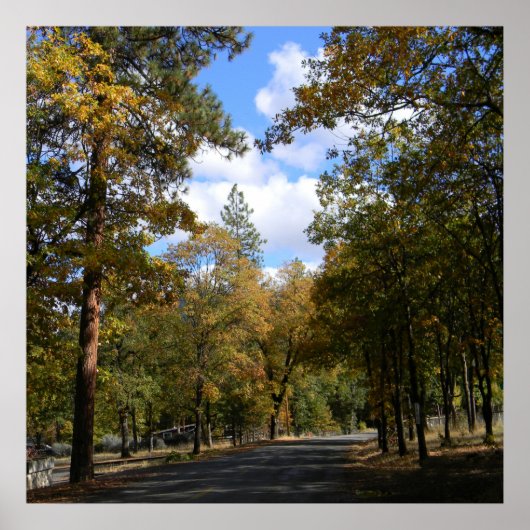 Mooie stad. poster (Voorkant)