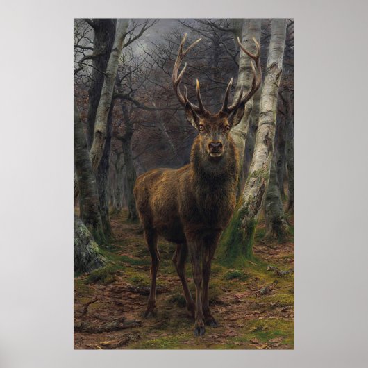 Mooie Stag Deer - koning van het bos Poster (Voorkant)