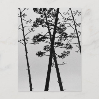Mooie stalbloemen briefkaart