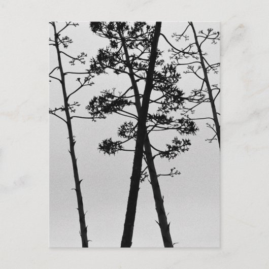 Mooie stalbloemen briefkaart (Voorkant)