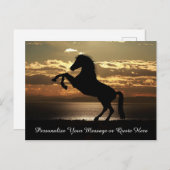 Mooie Stallion Horse op zonsondergang personaliser Briefkaart (Voorkant / Achterkant)