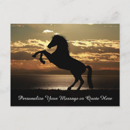 Mooie Stallion Horse op zonsondergang personaliser Briefkaart