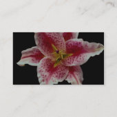 Mooie Stargazer lily Visitekaartje (Achterkant)