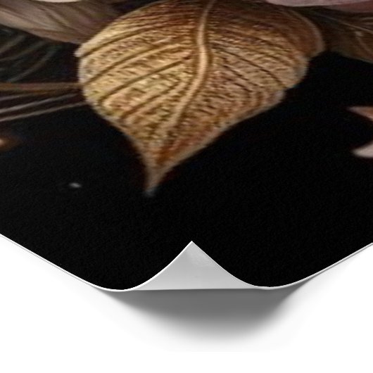 Mooie Steampunk Vrouw op de Maan Poster (Hoek)