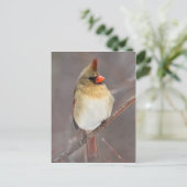 Mooie stel briefkaart (Staand voorkant)