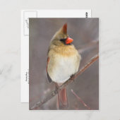 Mooie stel briefkaart (Voorkant / Achterkant)